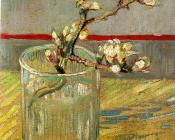 玻璃杯中盛开的杏花 - 文森特·威廉·梵高